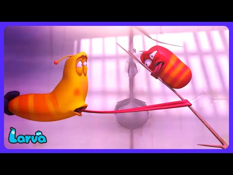 Larva - Gevaarlijke Tyfoon! | Kindertelevisie | WIldBrain Kinderen