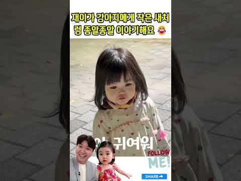 재이가 강아지에게 작은 새처럼 종알종알 이야기해요 😂#박수홍#김다예#재이#Park Soo-<strong>hong</strong>#Kim Da-ye #jaei