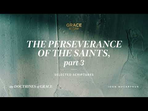 The Perseverance of the Saints, Part 3 (1 Peter 1:6–9) [Audio Only]