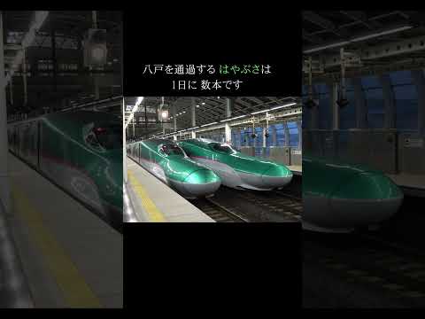 E5系はやぶさ 八戸(はちのへ)通過