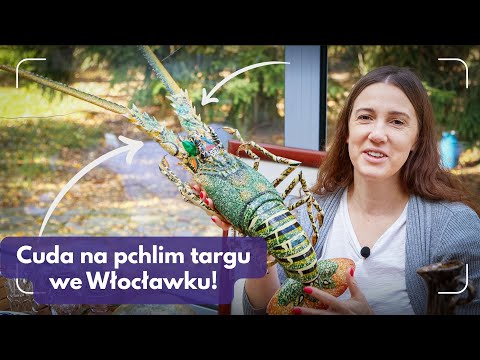 Co kupiliśmy na Pchlim Targu we Włocławku?? 🧡 Nowe Vintage Skarby 🥰