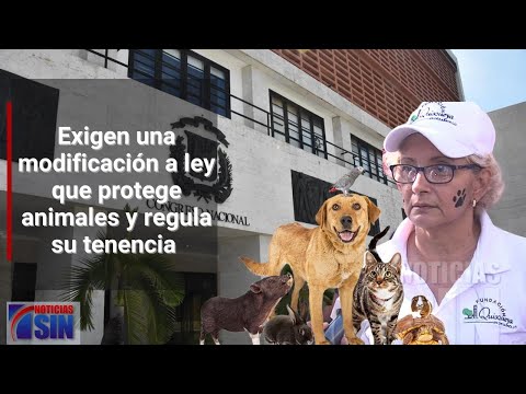 Piden modificación a ley sobre protección animal