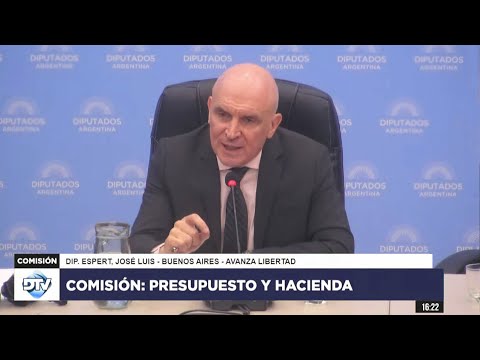COMISIÓN COMPLETA: PRESUPUESTO Y HACIENDA - 25 de abril de 2024 - Diputados Argentina