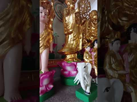 chùa trùng Quang quận 8, #việtcacổbuồn #tamtrangcuocsong #nhachaymoingay #shortsvideo