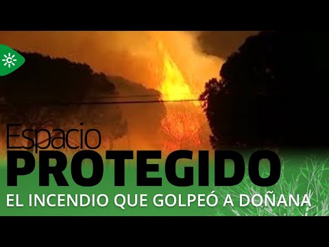Espacio Protegido | La Corona de Doñana renace tras el incendio de 2017