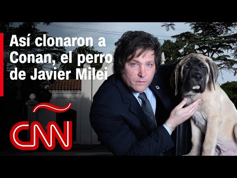 Milei y sus perros: el presidente de Argentina obtuvo 5 clones de Conan, confirmó CNN