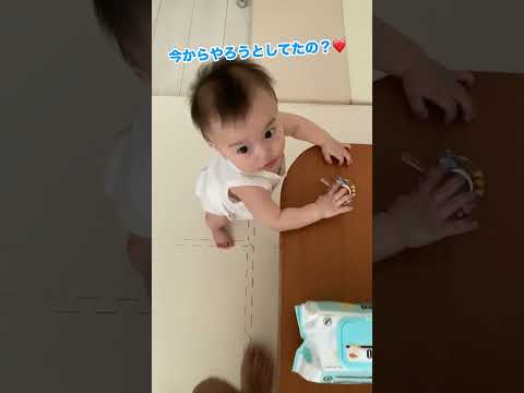 歯磨きがしたくなる!?我が家の歯磨き事情🪥#赤ちゃん #歯磨き #褒める