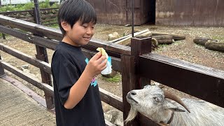 動画サムネイル
