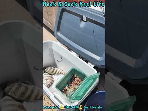 Fishing video video thumbnail