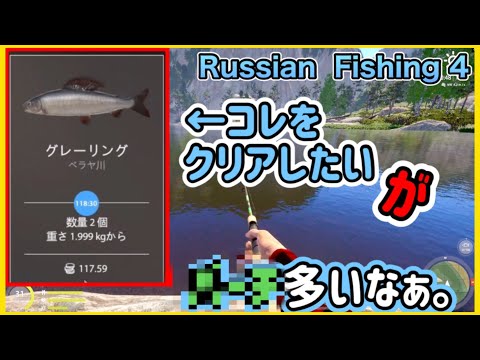 Russian  Fishing 4 アイツが多いなぁ。ベラヤ川でグレーリング釣り🎣　神龍のまったりロシアンフィッシング4実況。　PART6