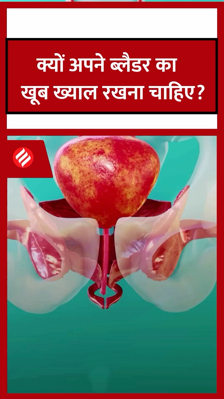 क्यों अपने ब्लैडर का ख़ूब ख़्याल रखना चाहिए? #bladder #urine #dw #dwhindi #shorts