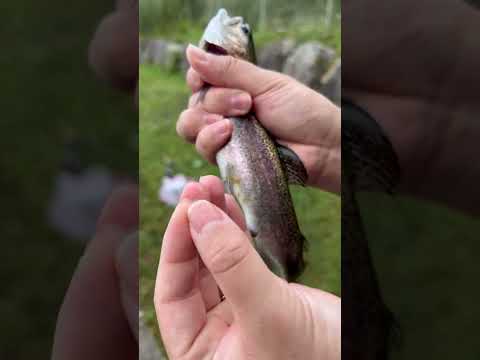 魚についてる虫が思ったより○○だった…
