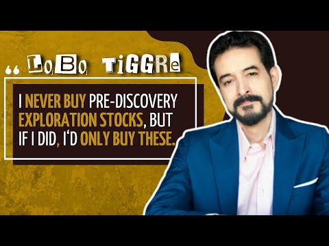 Lobo Tiggre's Favorite Stocks & How He Picks Them