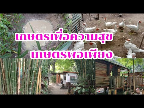 เกษตรพอเพียงเกษตรเพื่อความสุข