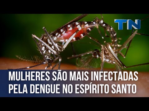 Mulheres são mais infectadas pela dengue no Espírito Santo