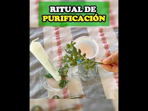 Ruda "La planta que Protege tu Hogar” 🌿🌟