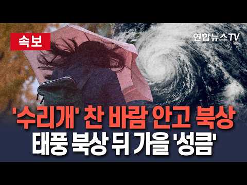 [🔴속보] 태풍 ‘수리개’ 찬 바람 몰고 미친 북상…이제 진짜 가을? / 연합뉴스TV(YonhapnewsTV)
