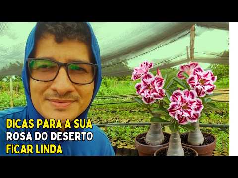 GARANTO QUE SE VOÇE FIZER ISSO TERÁ BONS RESULTADOS