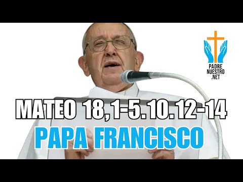 PAPA FRANCISCO - Reflexion EVANGELIO MATEO 18,1-5.10.12-14 |? 13 de AGOSTO de 2024