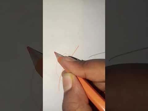 transition alert #broadway #song #ihavethisthingwithplants #drawing #lifeisbutadream #music #love op