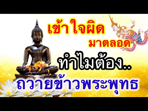 เจ้าใจผิดมาตลอด-ด้วยความไม่รู้ เจ้าใจผิดมาตลอด-ด้วยความไม่รู้