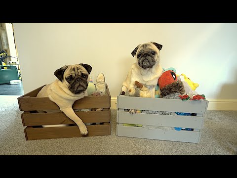 New Toy Box!
