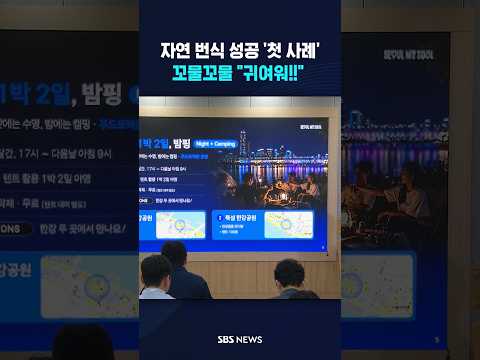 자연 번식 성공 '첫 사례' "귀여워!!" #shorts