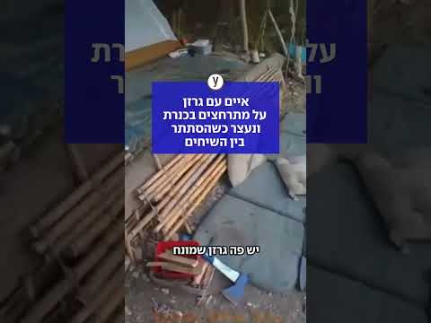 איים עם גרזן על מתרחצים בכנרת ונעצר כשהסתתר בין השיחים