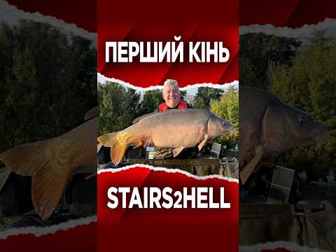 Найбільша риба в зоні! #рибалка #риболовля #короп #карп #carpfishing