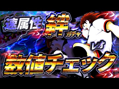 【速属性絆ガチャ】11月11日の新キャラ、レオ、新キャラ数値チェック