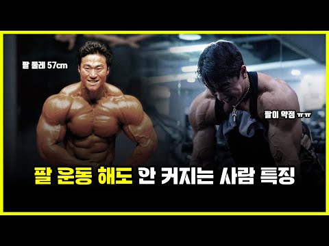 팔 운동 아무리 열심히 해도 안 커지는 사람 특징.. 국내 팔 좋은 보디빌더 누가 있을까? (feat. 이승철, 용찬우)