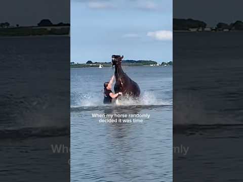 Horse decided his shift was over