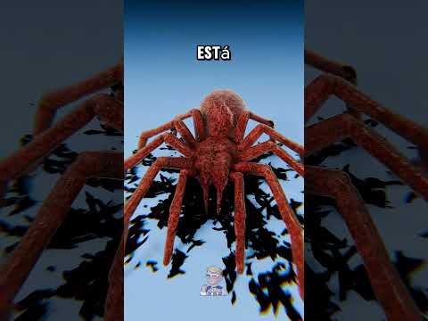 Piel de Viuda negra vs Piel de Lagarto😨👆 #curiosidades #animales #shorts