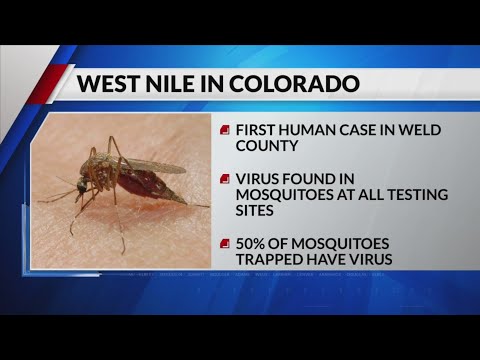 First case of West Nile Virus detected in Weld County