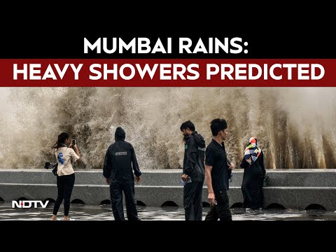 Mumbai Rain News Today LIVE | Mumbai Gets 106 mm Rain In Last 24 Hours, Heavy Showers Predicted