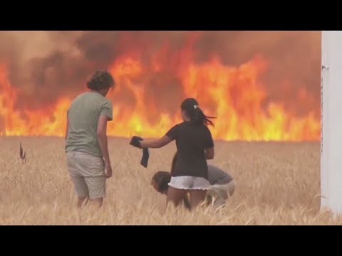 Más de mil muertos y decenas de incendios por ola de calor en Europa