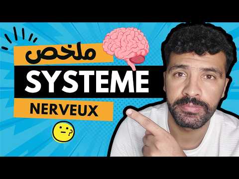 le système nerveux 3ème année collège - اجي تفهم الحواس
