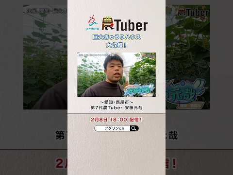 2月8日 18:00 配信! /愛知・巨大きゅうりハウス大収穫!〜愛知・西尾市〜/JAグループ「農Tuber」ちゃんねる