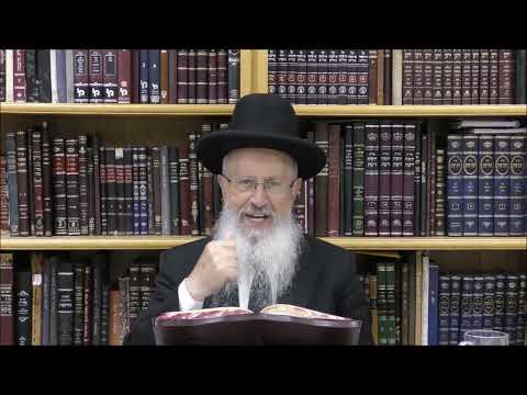 הגאון הרב אברהם יוסף שליט"א מה יעשה אדם שטלטל בטעות "כלי שמלאכתו לאיסור" בשבת
