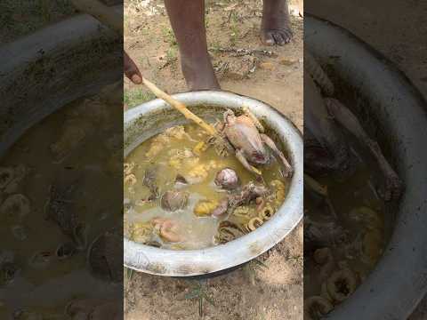 Bushmen lunch, see what we get #africa #hunters #africanpeople #wildlife #bushbuck #africawildlife