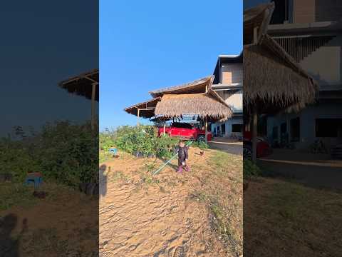 ถึงผมจะตัวเล็กแต่ผมก็สู้คับ💛