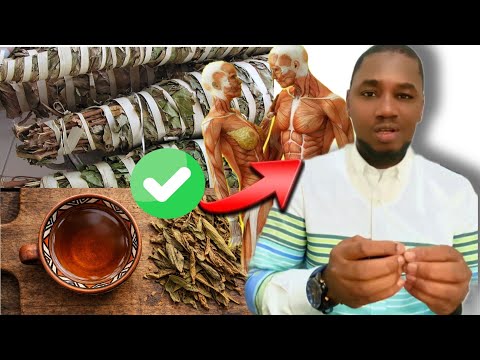 Lu Am solo ci Sexaw par professeur abass dégloul vidéo bi billard Raw