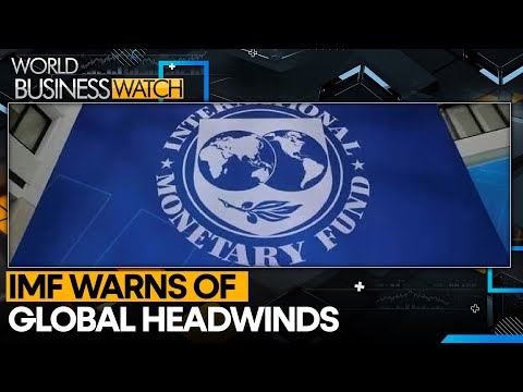 IMF Lowers 2024 Global Growth Forecast To 3.2% | World Business Watch | WION