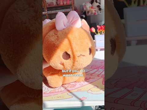 DIY scented plushes ig