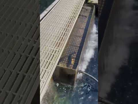 Roaring River State Park, Trout Hatchery