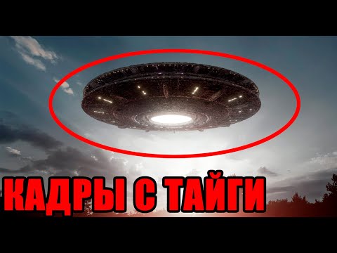 
КАДРЫ ОТ КОТОРЫХ У ВАС БУДУТ МУРАШКИ!!! 25.09.2025!!! СЛАБЫХ НЕ ПОДПУСКАТЬ!!!