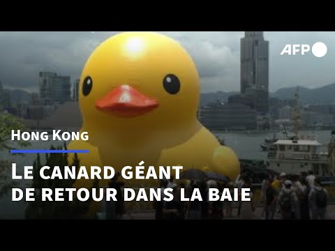 Le canard géant, symbole de paix, de retour dans la baie de Hong Kong | AFP