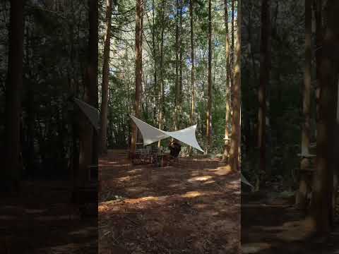 Portable Power for Adventurers | Power1000V2 in the Wild