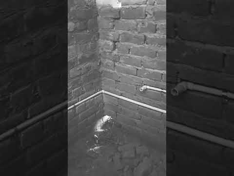 cpvc wall mixer fitting #shortvideo #plumbing #subscribe
