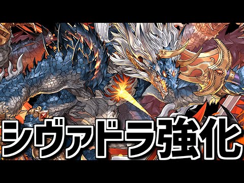 まさかの実質シヴァドラ強化！？周回環境が変わるかも！？山Pが神すぎる件！【パズドラ】